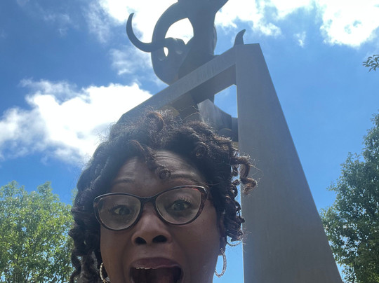 South Side Tours-芝加哥必去景点