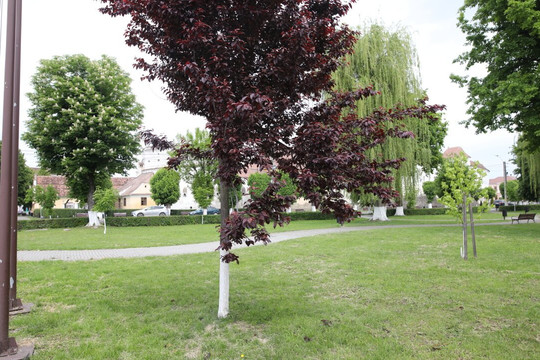 Parc Prejmer-Prejmer必去景点