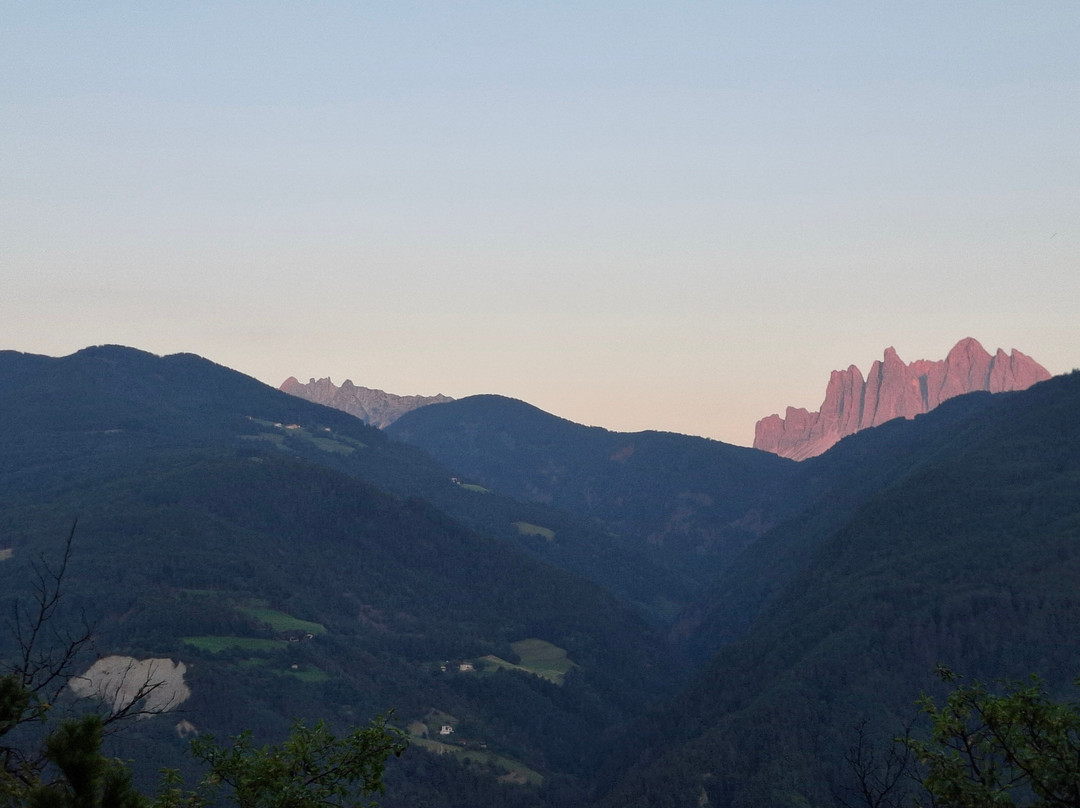 Restaurant Gasthof Wöhrmaurer主图