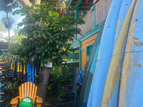 卡哈陆吾湾海上冲浪活动-凯鲁瓦-柯纳必去景点