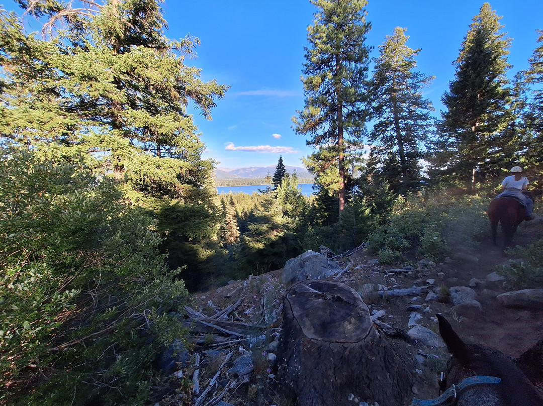 Ya-Hoo Corrals-McCall必去景点