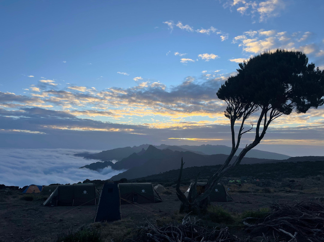 Enosa Expeditions-莫西必去景点