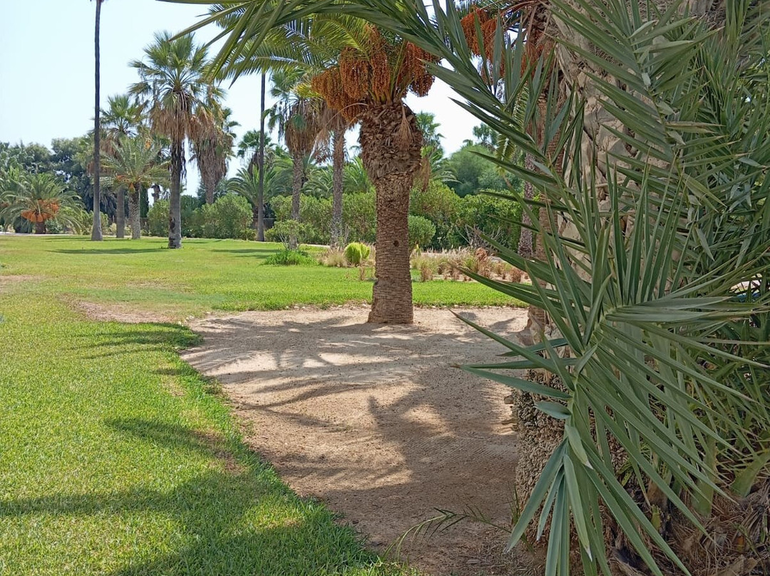 Dar El Andalous主图