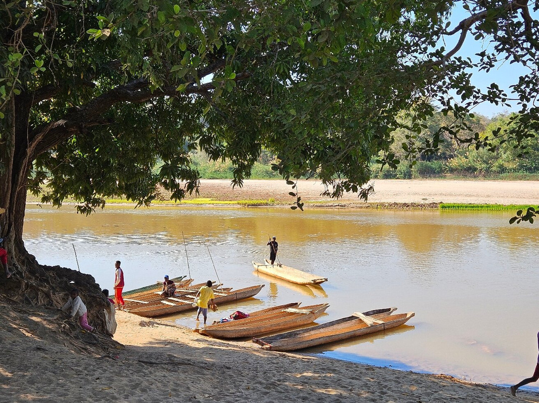 Manambolo River-Tsingy de Bemaraha National Park必去景点