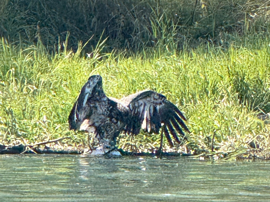 Fish Em LLC-Cooper Landing必去景点