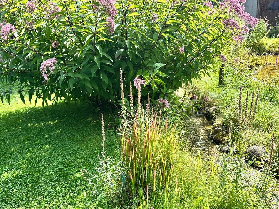 Vitalpinum-Assling必去景点