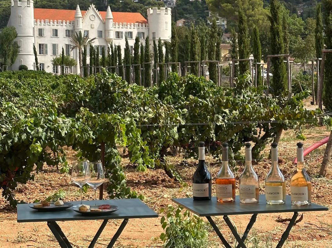 Dégustation Vignes Et Patrimoine-Carqueiranne必去景点
