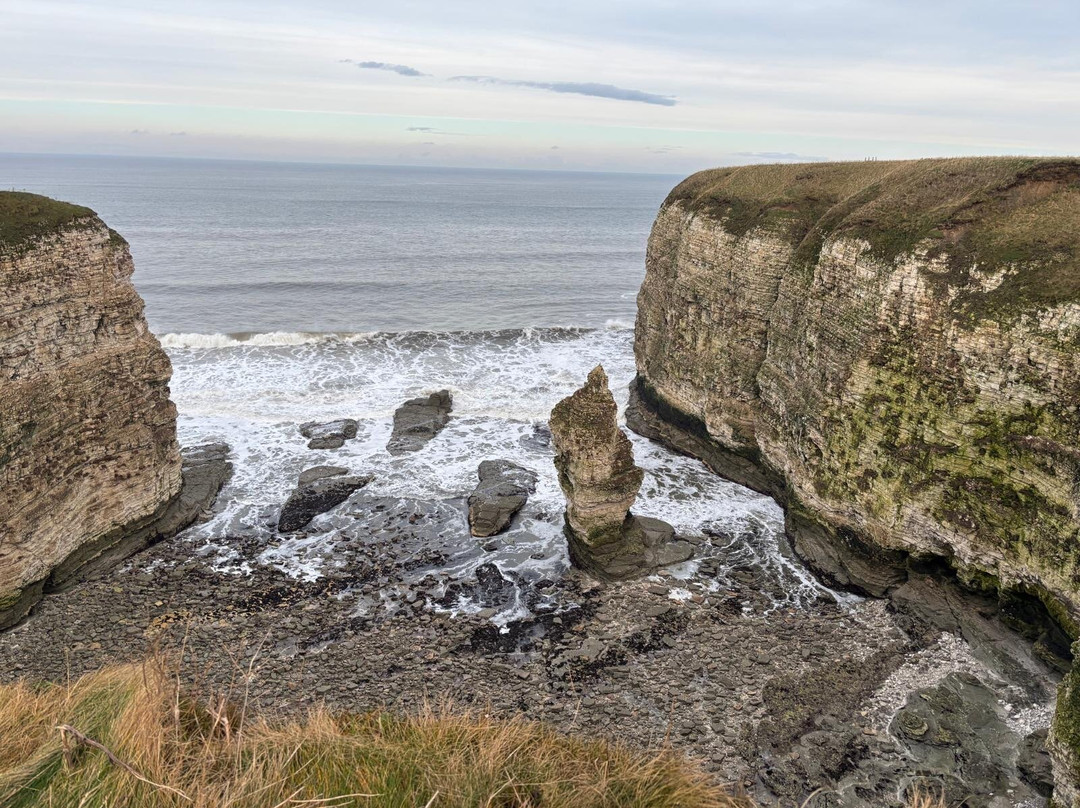 Rspb Bempton Cliffs-Bempton必去景点