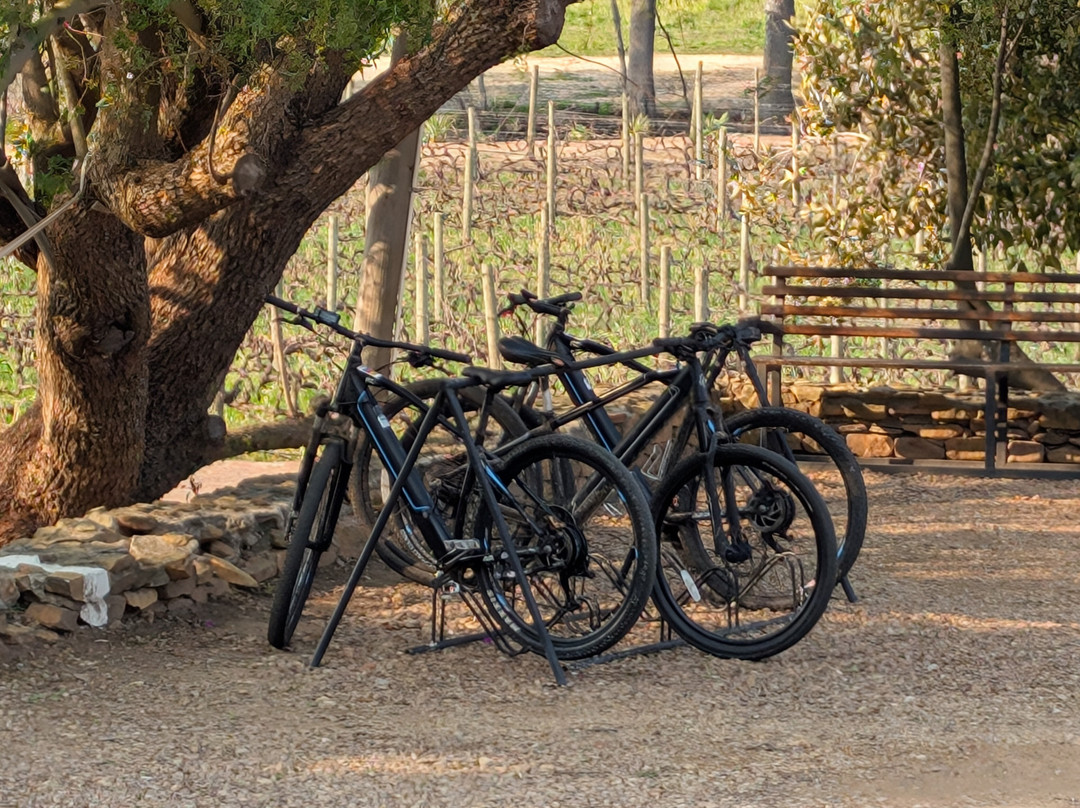 Franschhoek Cycles-法兰舒克必去景点