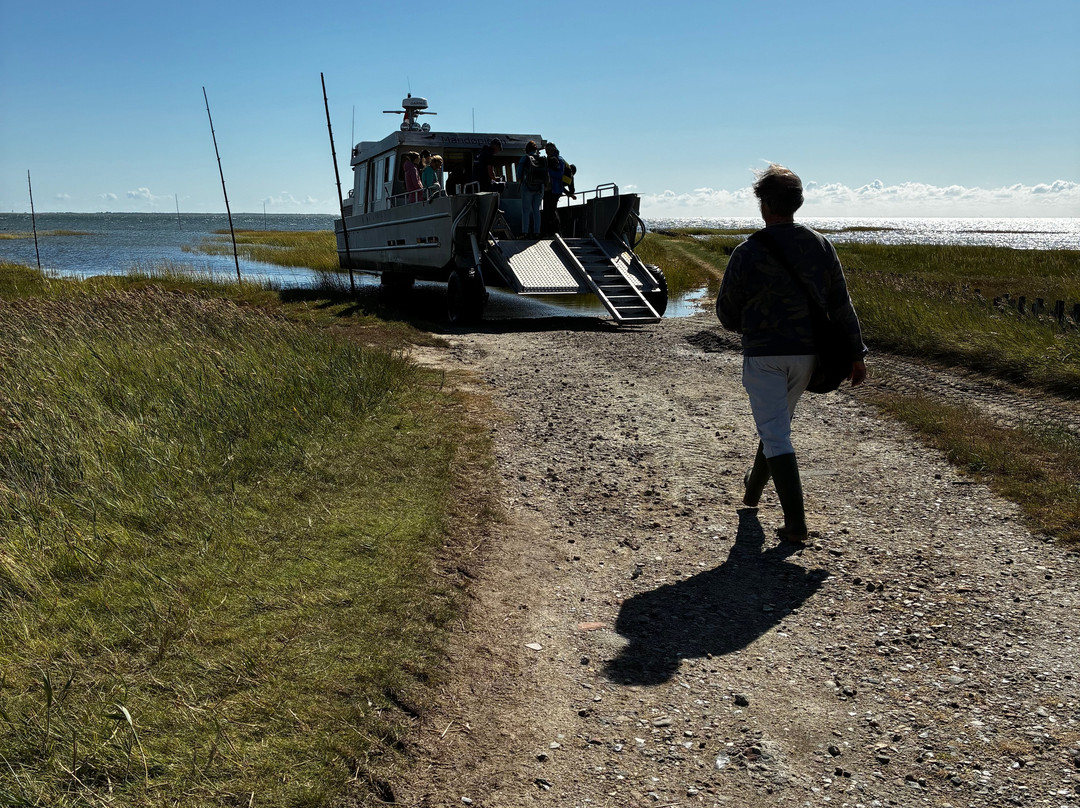 Turfaergen Mandopigen-Mandoe必去景点