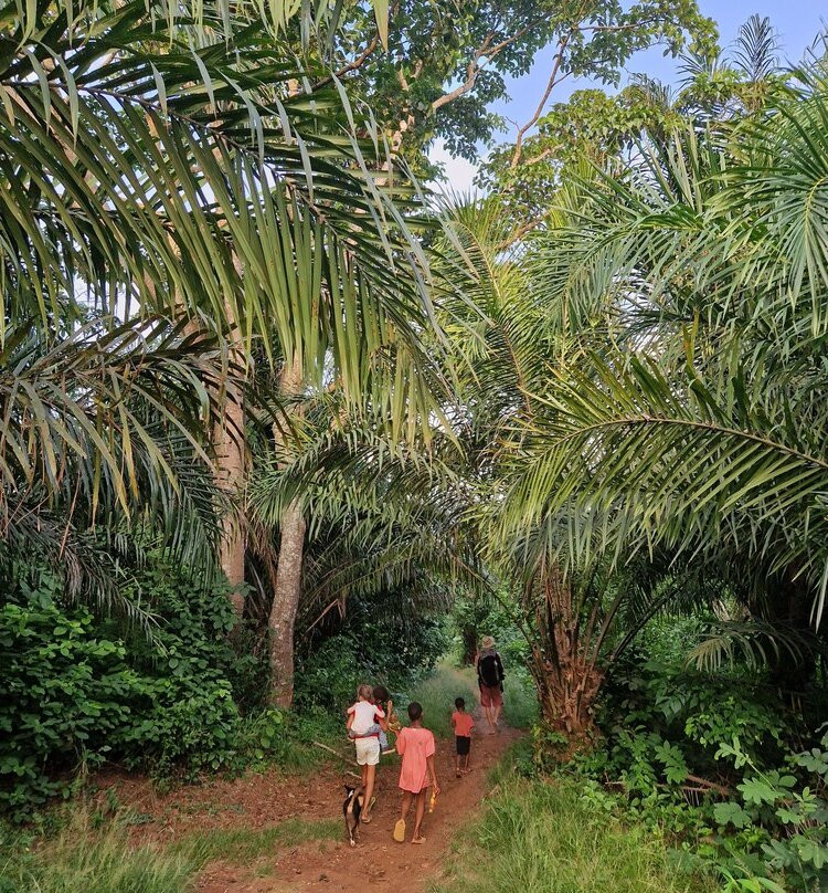 Fermes Et Village De Kpalimé Dzokoto-Kpalime必去景点
