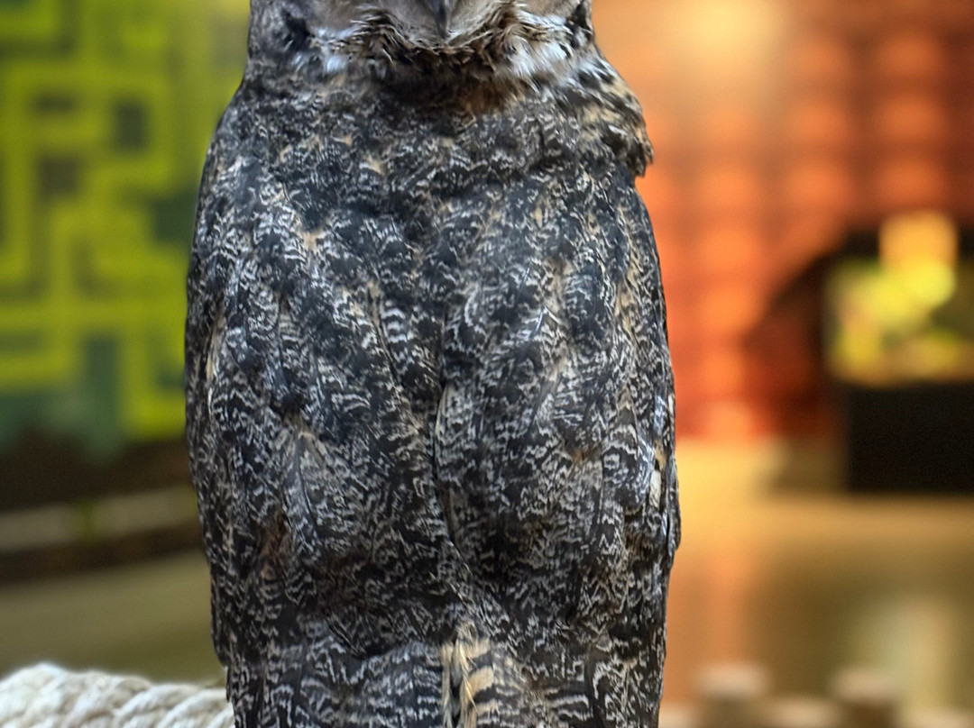 Acuario Michin Puebla-普埃布拉必去景点