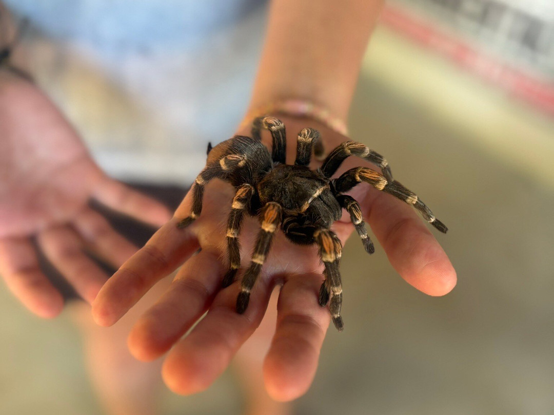 Toolok kaa'n-从莫雷洛斯港必去景点