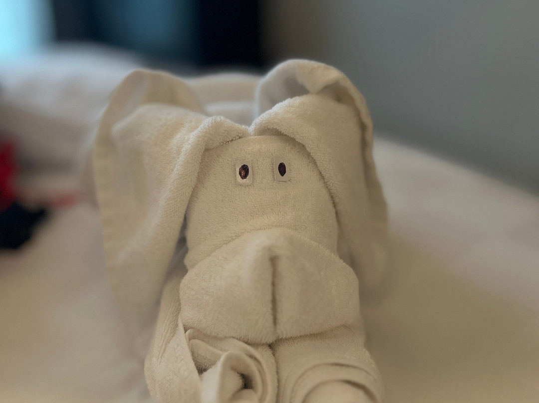 Padma Hotel Semarang主图