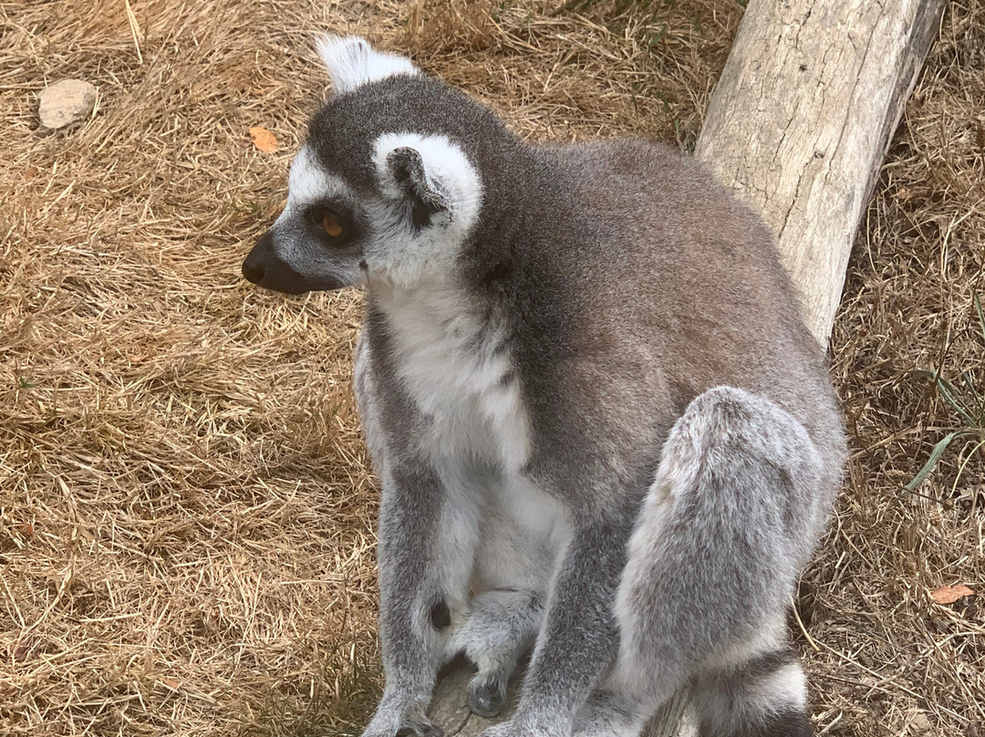 Natur'zoo de Mervent-Mervent必去景点