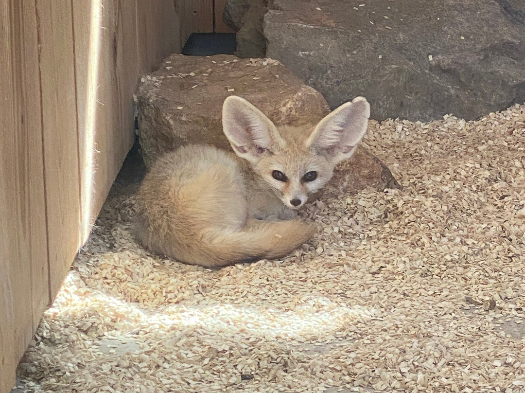 Zoa Parc Animalier et Botanique-滨海萨纳里必去景点