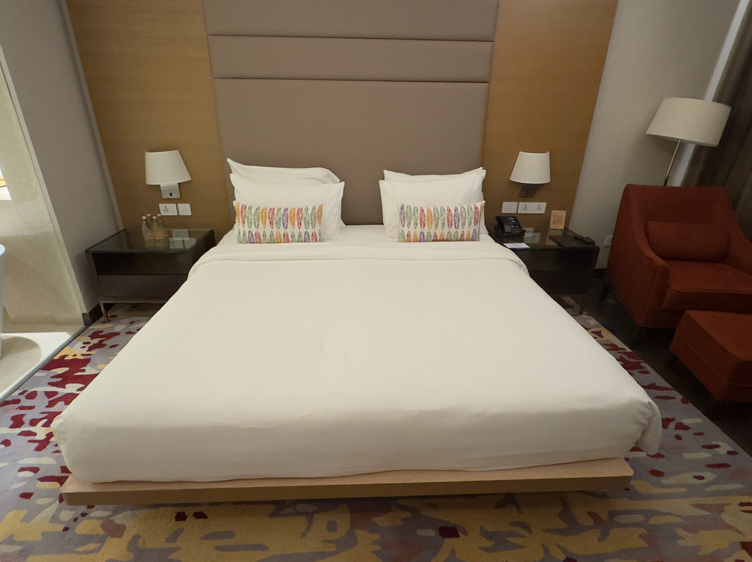 Feathers - A Radha Hotel主图