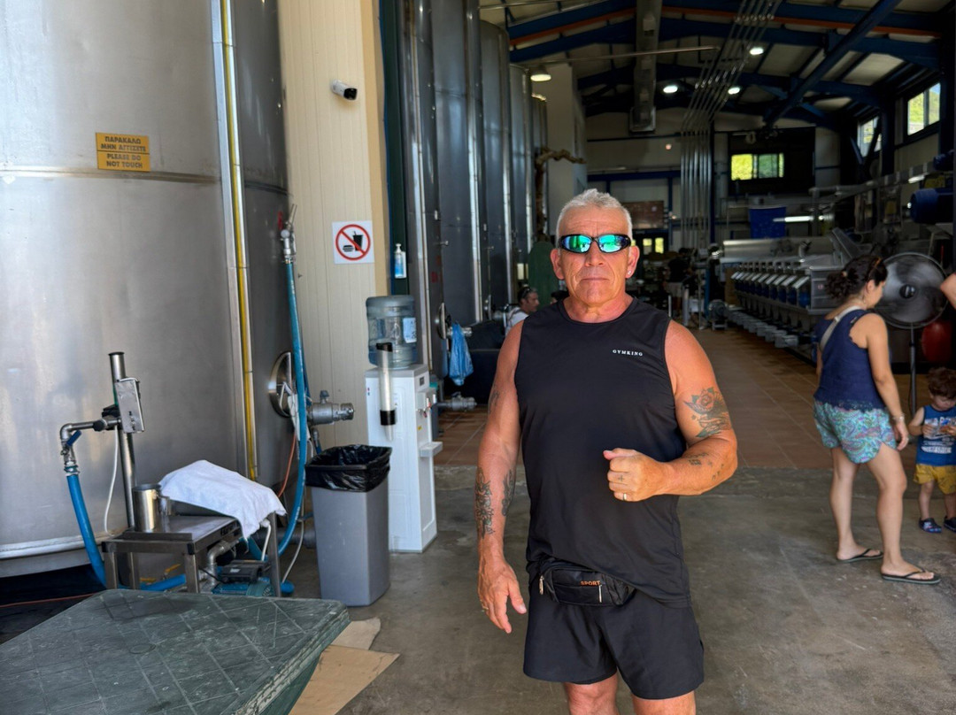 Laganas Fun Train-扎金索斯州必去景点