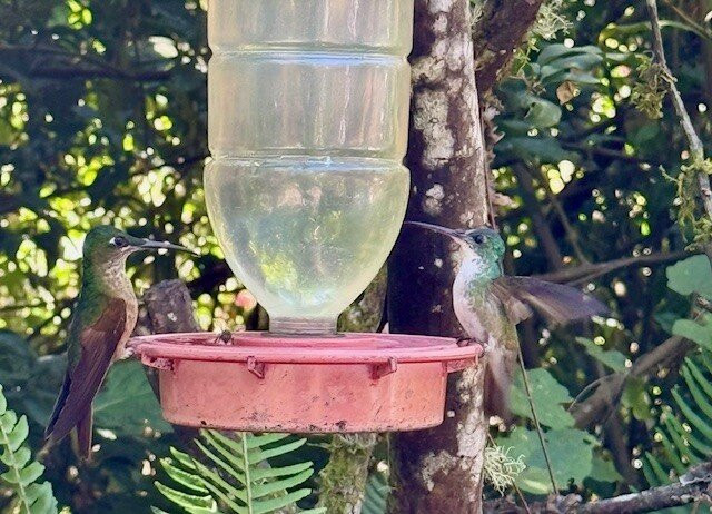 Rebecca Adventure Travel-阿约拉港必去景点