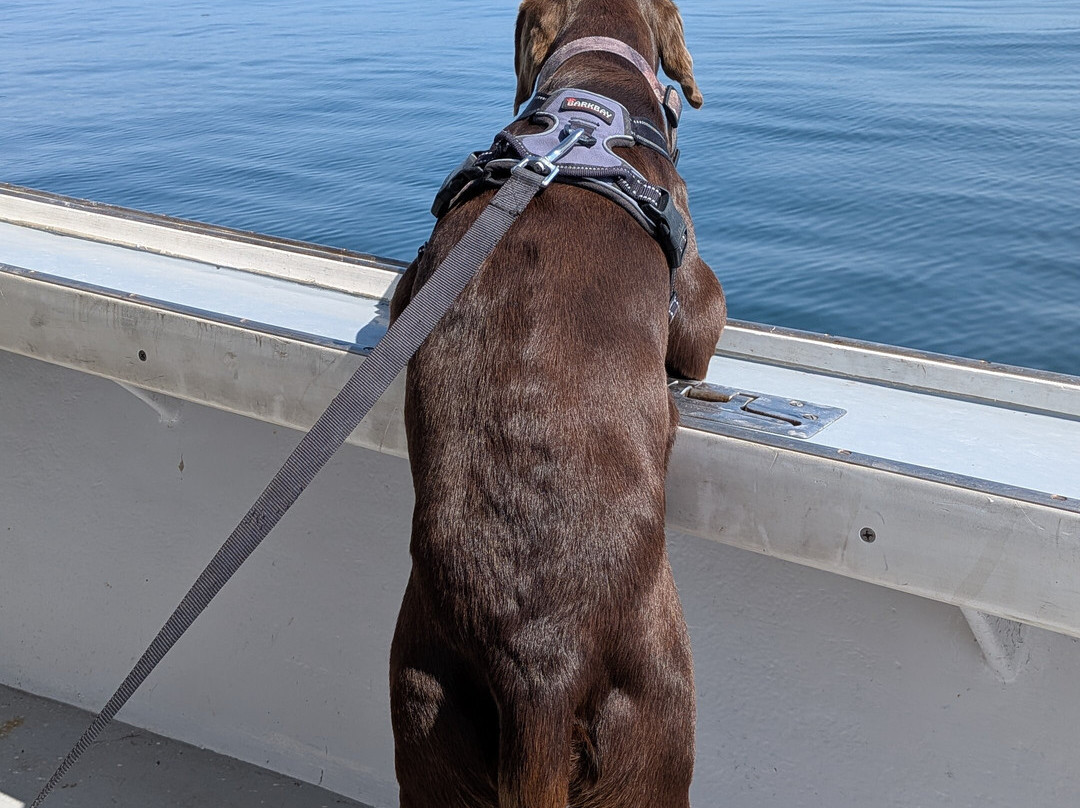 Robertson Sea Tours & Adventures-Milbridge必去景点