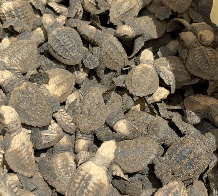 Selvamarina Adventure-Huina必去景点