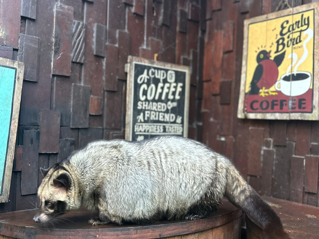 OKA Agriculture Bali-Bangli必去景点