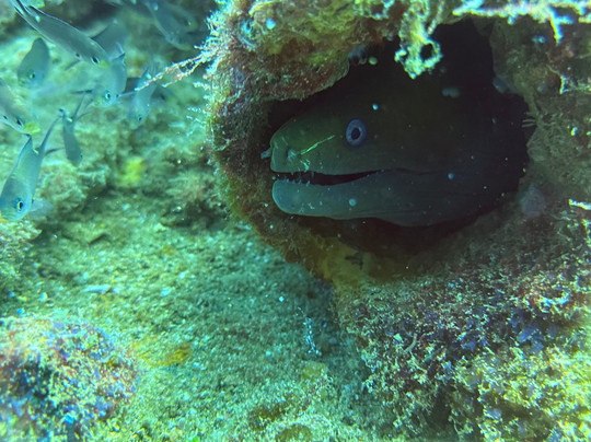 Xoc Baja Tours-拉巴斯必去景点