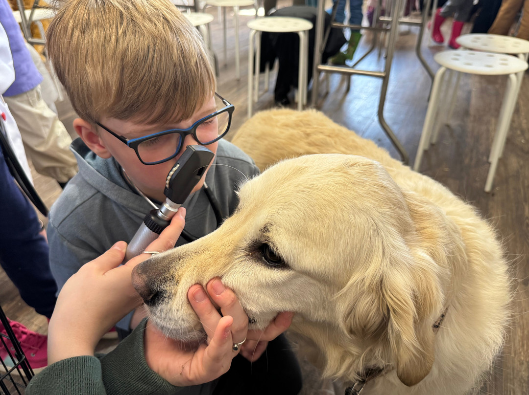 1870 Farm-教堂山必去景点