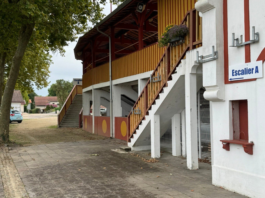 Arènes De Rion Des Landes-Rion-des-Landes必去景点