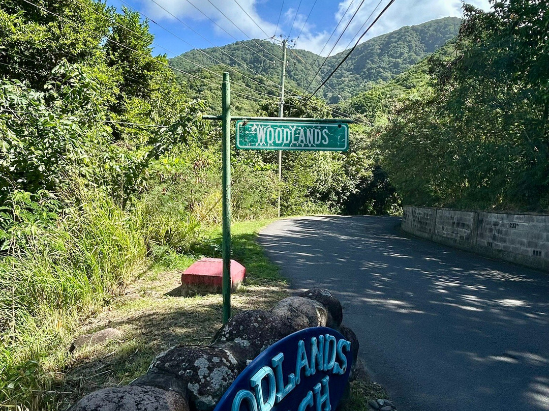 Woodlands Beach-Woodlands必去景点