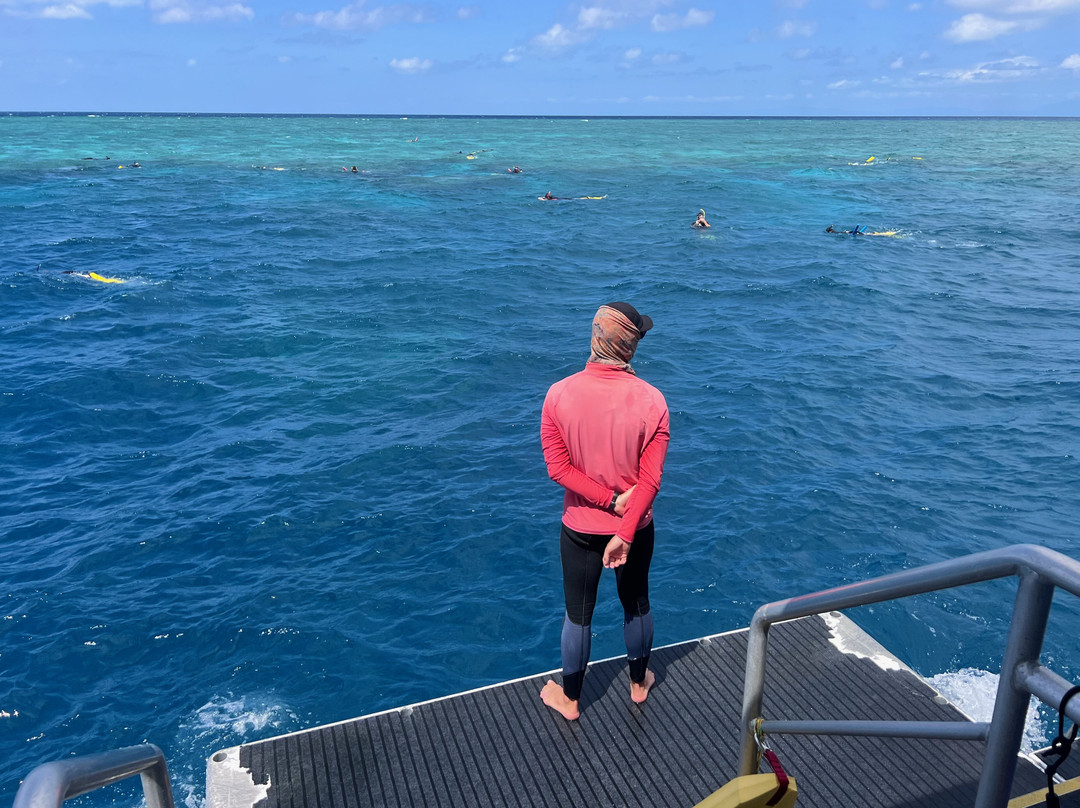 Opal Reef-道格拉斯港必去景点