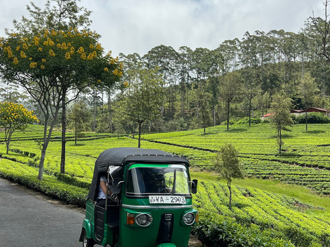 Suhasna Travels & Tours-马塔拉必去景点