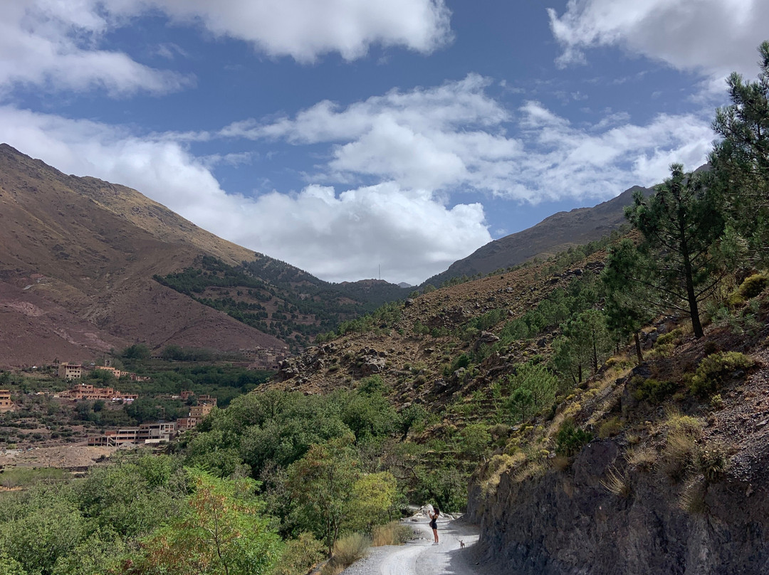 Tamatert Guesthouse主图