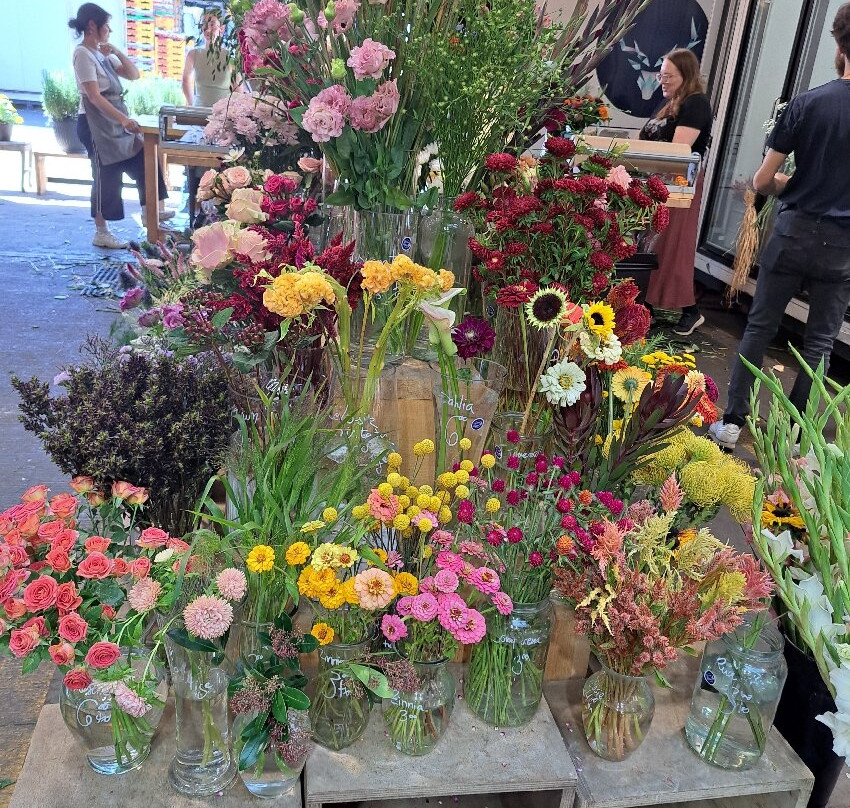 让塔隆集市-蒙特利尔必去景点