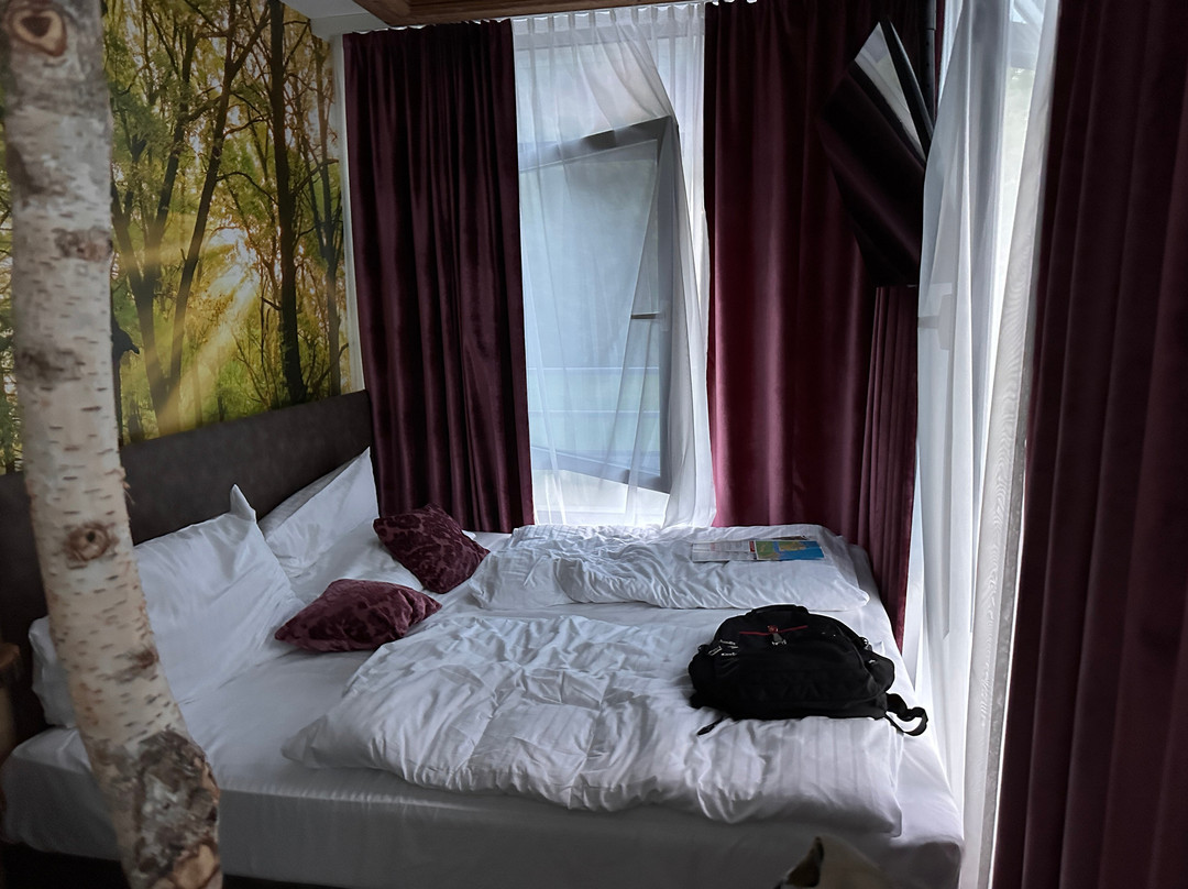 施彻维兹瓦尔德特瑞酒店主图