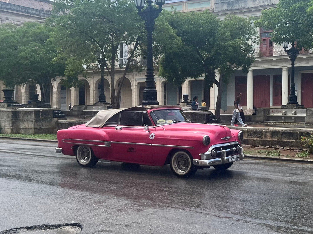 Varadero Street Market-巴拉德罗必去景点