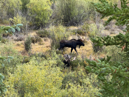 RIO EPIC Outfitters-杜兰戈必去景点