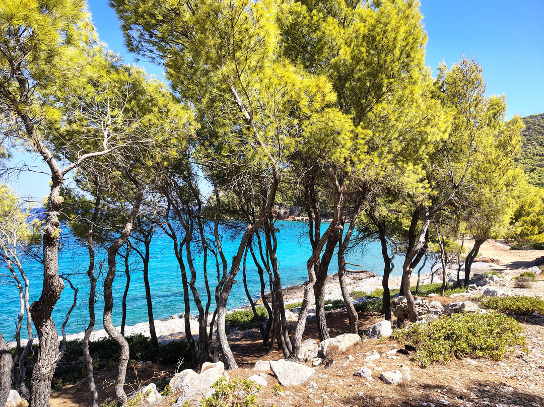 Dragonera Beach-Angistri必去景点