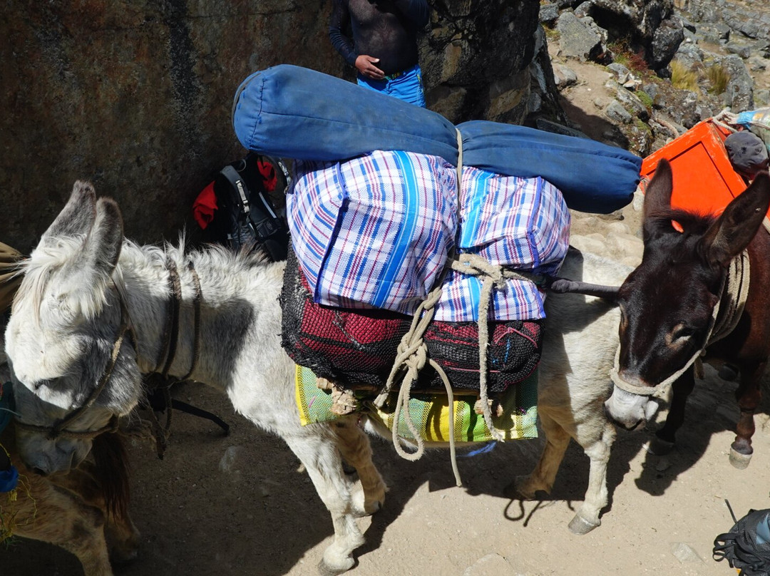 Ganesa Explorer-瓦拉斯必去景点