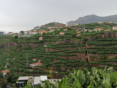 Bar Pe De Cabra-沙尔必去景点