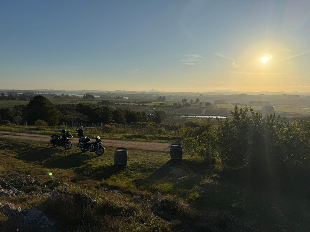 Alto de la Ballena-埃斯特角城必去景点