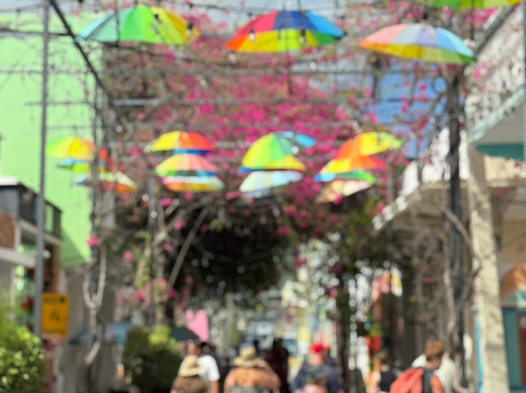 Umbrella Street-普拉塔港必去景点