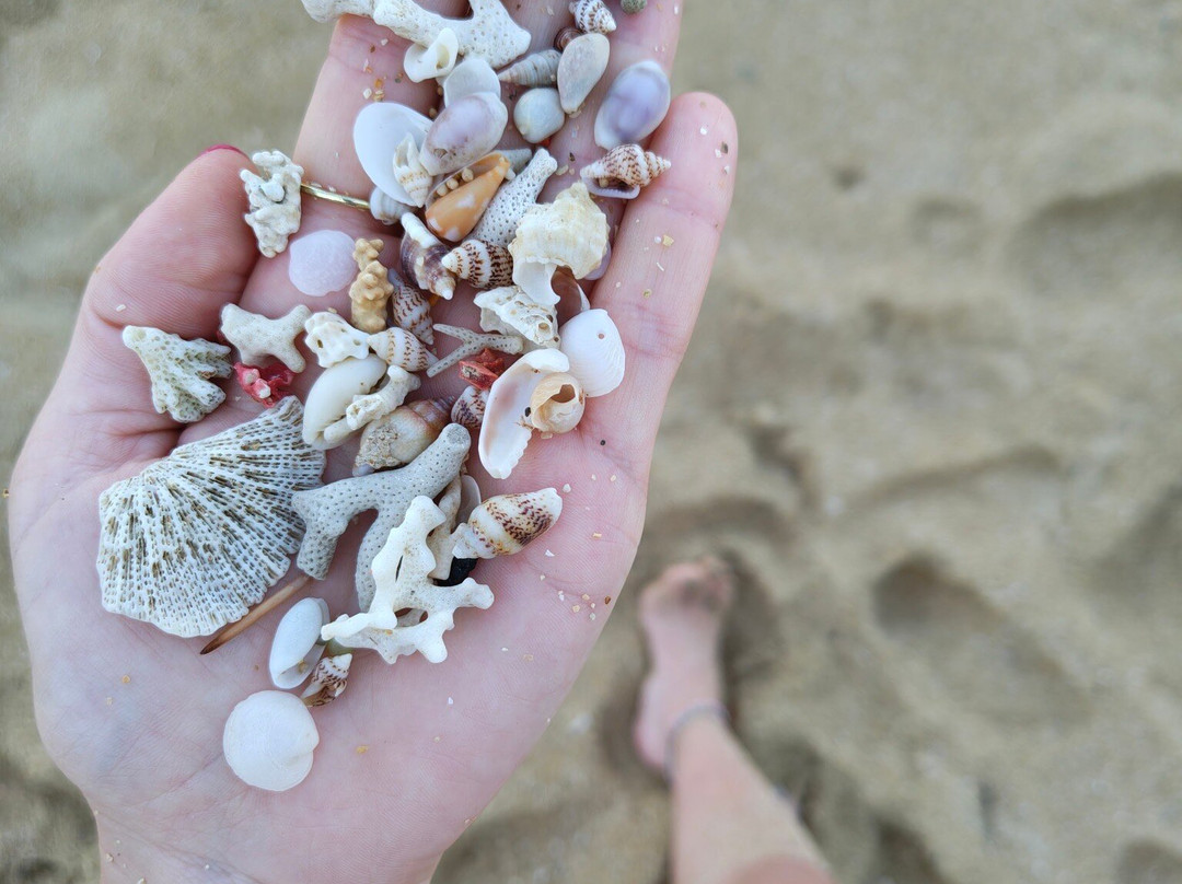 Bob Bali-罗威那海滩必去景点