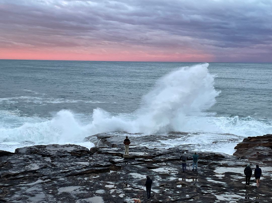 麦奇洛公园-Freshwater必去景点
