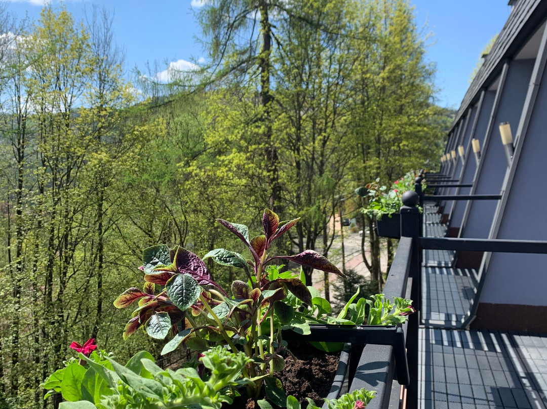 Polaris - Hotel Rooms & Apartments主图