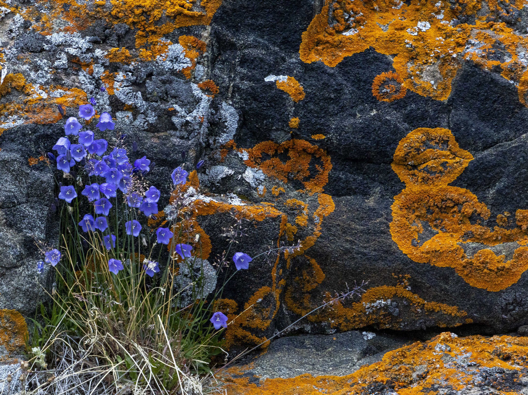 Sisimiut Museum-Sisimiut必去景点