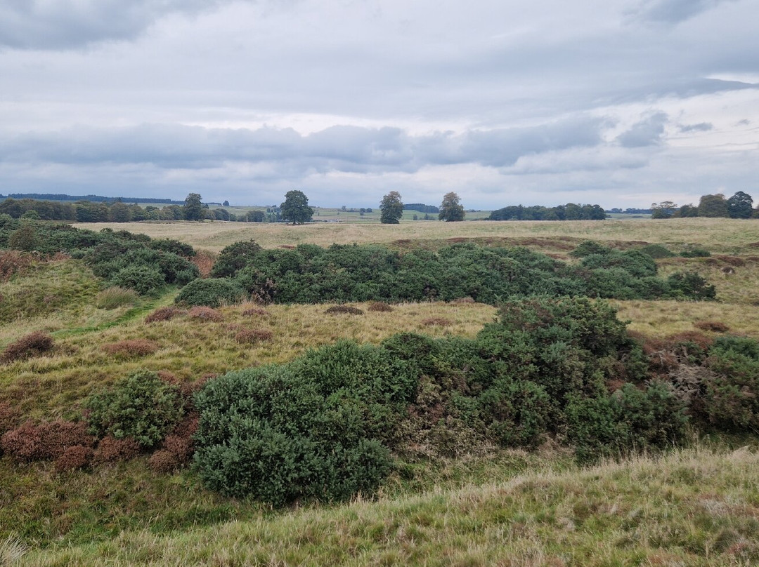 Ardoch Roman Fort-Braco必去景点