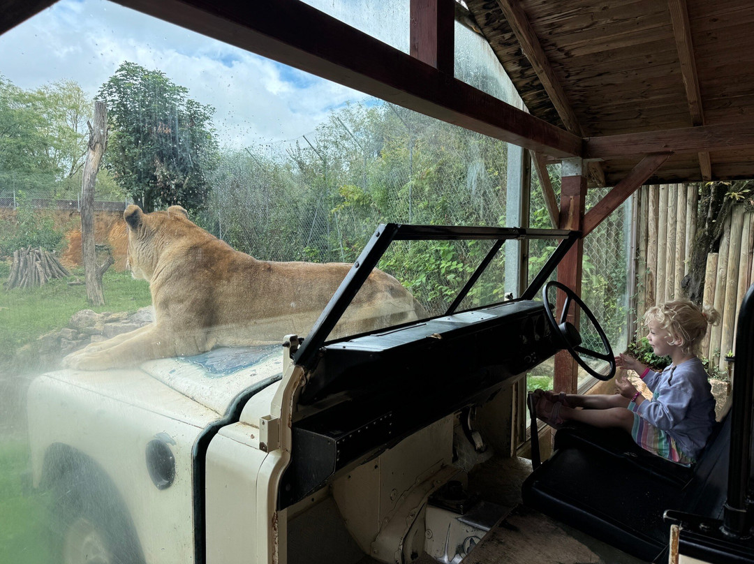 Touroparc Zoo-Romaneche-Thorins必去景点