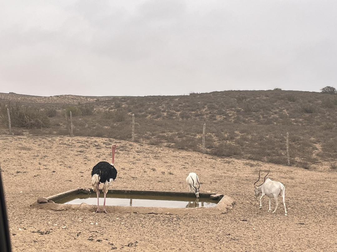 Parc Nacional de Souss-Massa-Takate必去景点