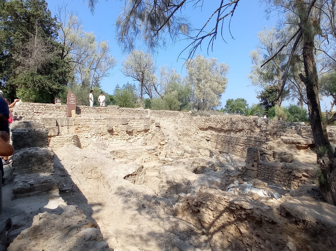 Villas Romaines-迦太基必去景点